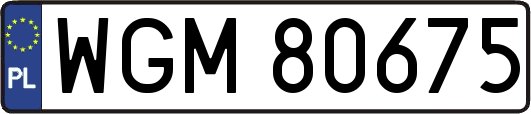 WGM80675