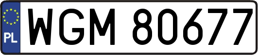 WGM80677