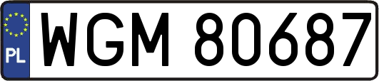 WGM80687