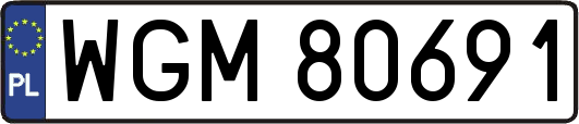 WGM80691