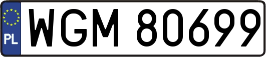WGM80699