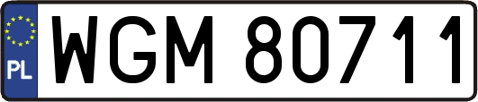 WGM80711