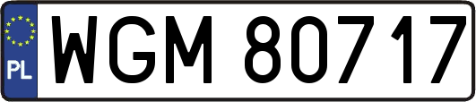 WGM80717
