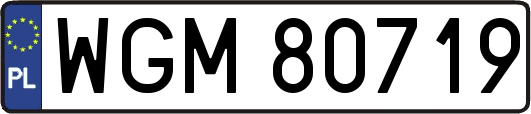 WGM80719