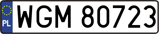WGM80723