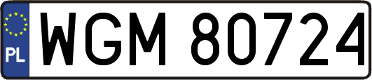 WGM80724