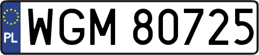 WGM80725