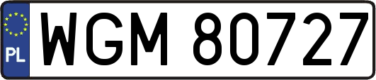 WGM80727