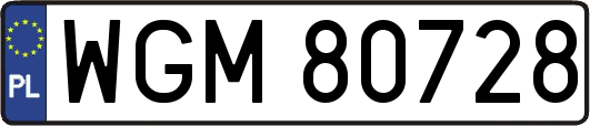 WGM80728