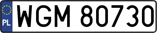WGM80730