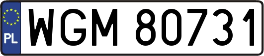 WGM80731