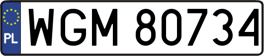 WGM80734