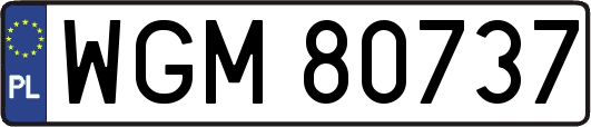 WGM80737