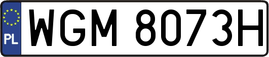 WGM8073H