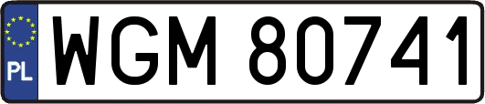 WGM80741