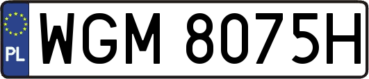 WGM8075H