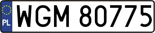 WGM80775
