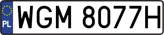 WGM8077H