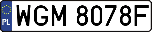 WGM8078F