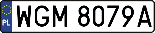 WGM8079A