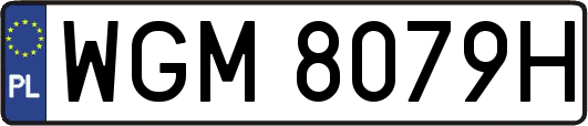 WGM8079H