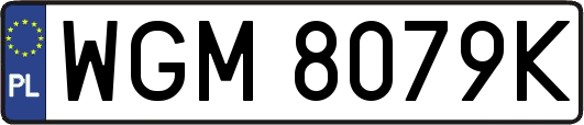WGM8079K
