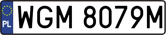 WGM8079M