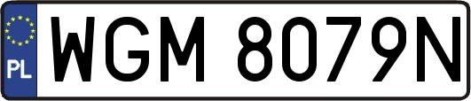WGM8079N