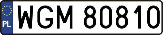 WGM80810