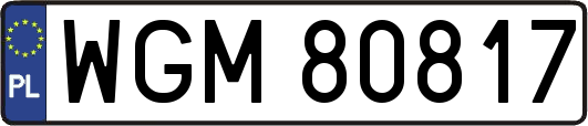 WGM80817