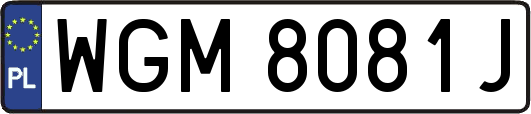 WGM8081J
