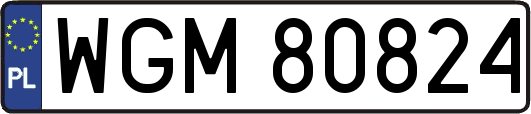 WGM80824