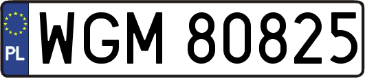 WGM80825