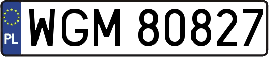 WGM80827