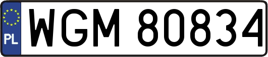 WGM80834