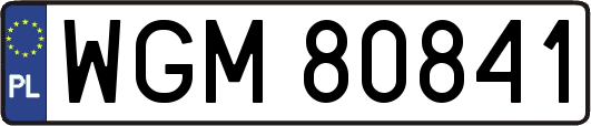 WGM80841