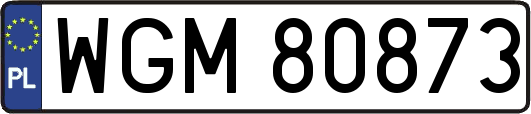 WGM80873