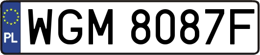 WGM8087F