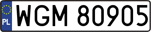 WGM80905
