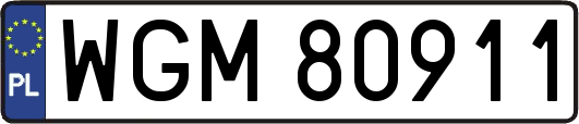 WGM80911