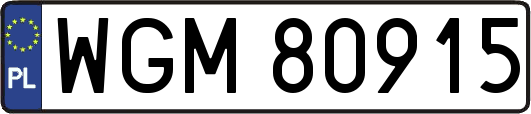 WGM80915