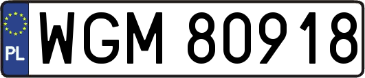WGM80918