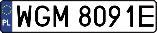 WGM8091E