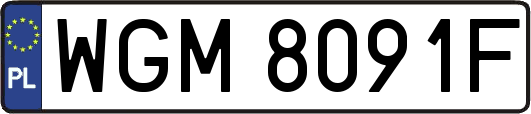 WGM8091F