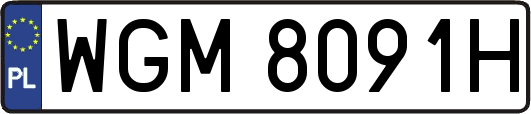 WGM8091H