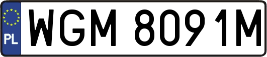 WGM8091M