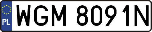 WGM8091N