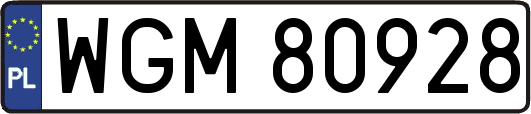 WGM80928