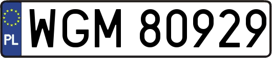 WGM80929
