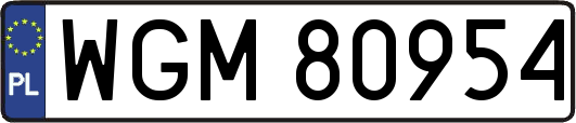 WGM80954